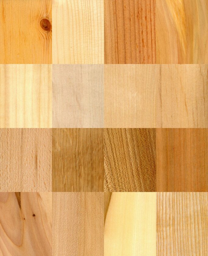 essence de bois parquet